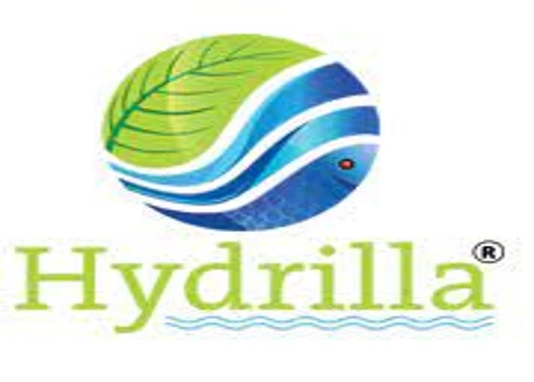 Hydrilla