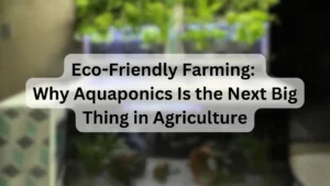 Eco-Friendly Farming
