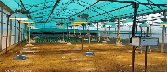 GHGL 180 R Spectrum Details