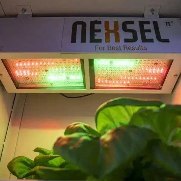 Plant Research Facility