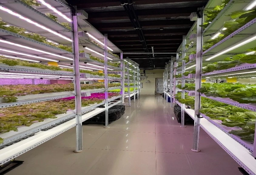 GWGL Canopy Application