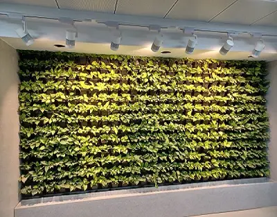 Green Wall Lighting Solution - Basic Details
