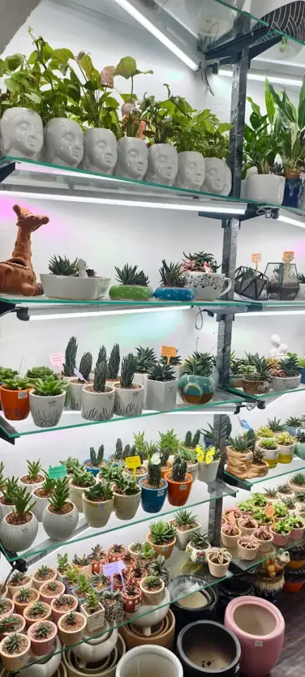 2FT 9W Grow Light for Ornamental Plants (Rack)