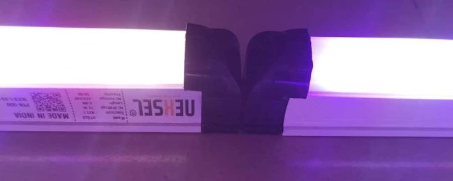 Saffron Grow Light In Use