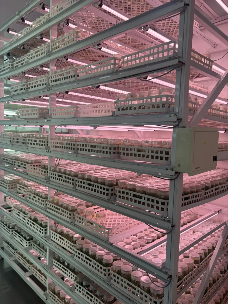 2FT 9W Grow Light for Tissue Culture