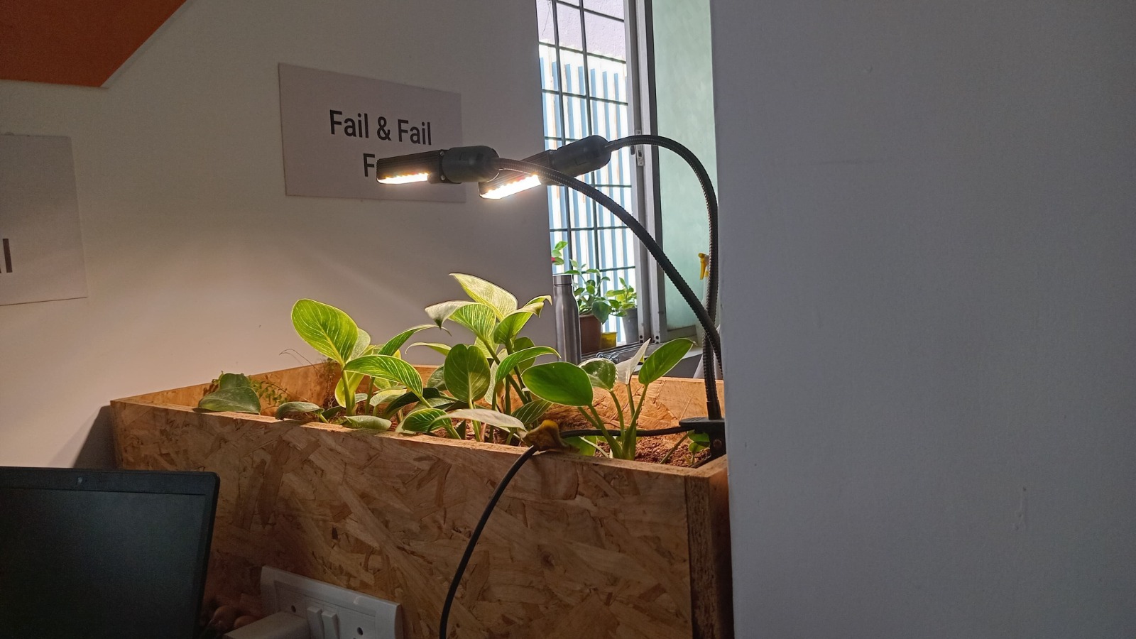 Plant Grow Lights for Table Top Plants