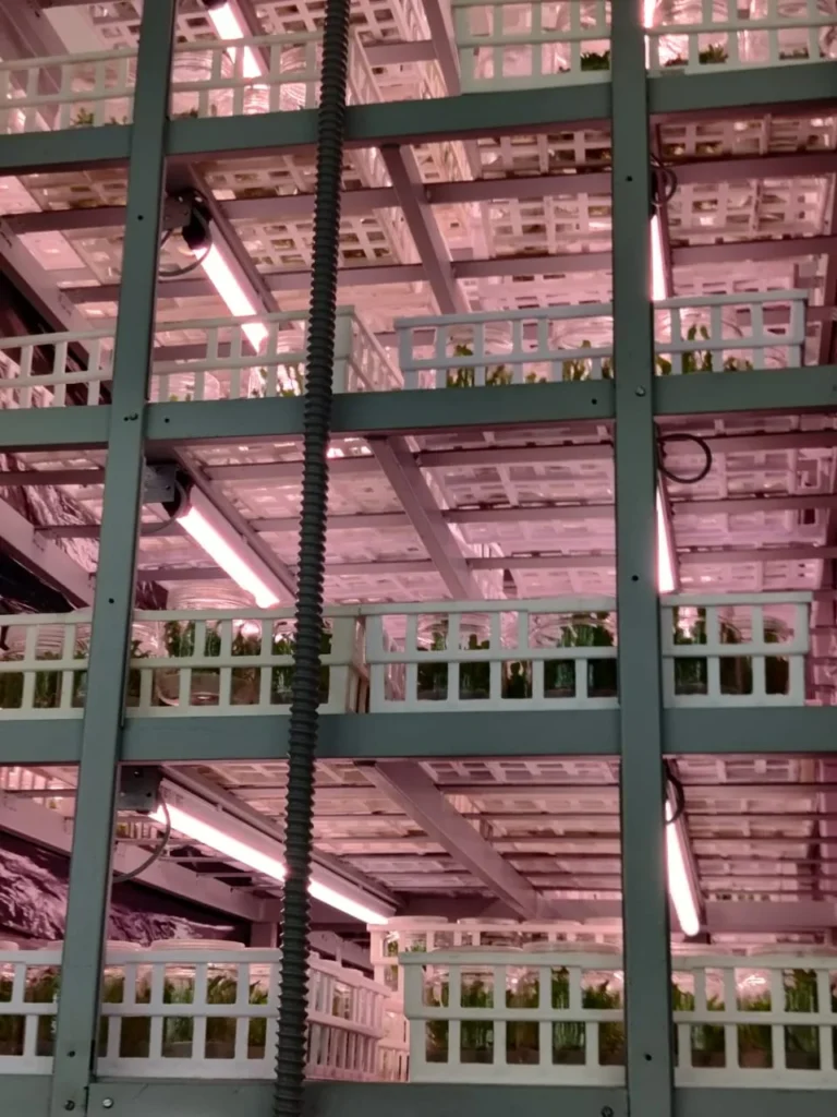 K F Biotech Pvt. Ltd.