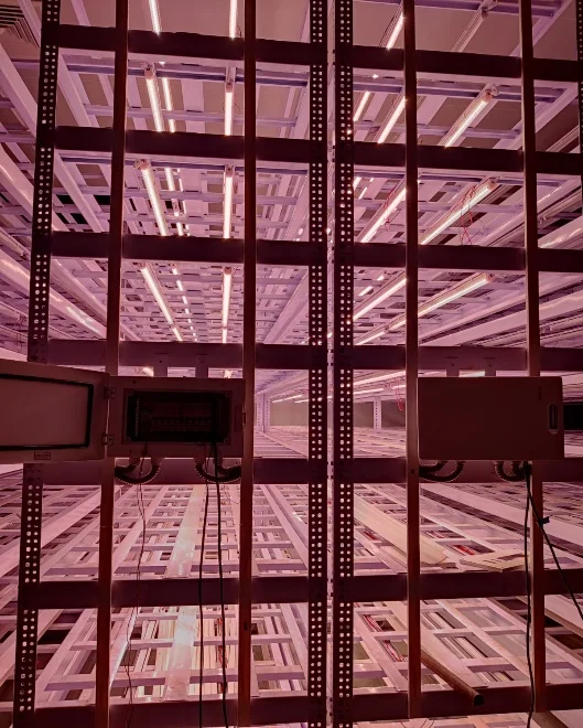 Rise & Shine Biotech Pvt. Ltd.