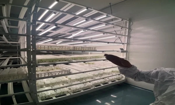 Zerochem Agro Producer