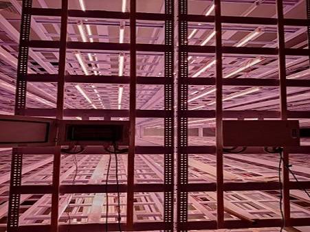 365D Farms Project 1