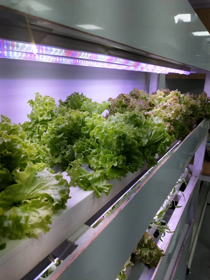 Barton Breeze Pvt. Ltd.