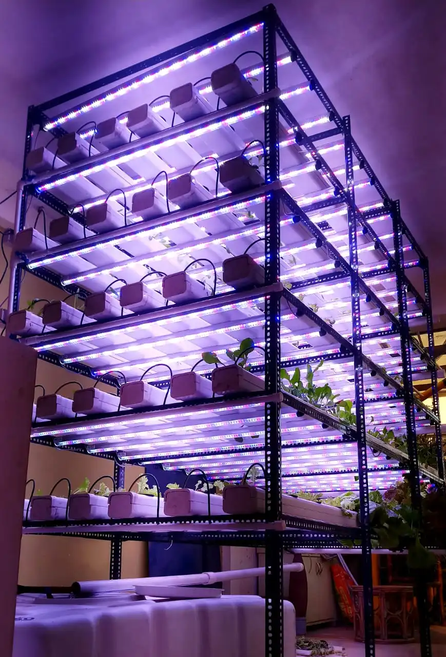 Global Hydroponics