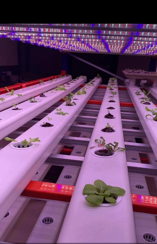 Urban Farm System & Technologies