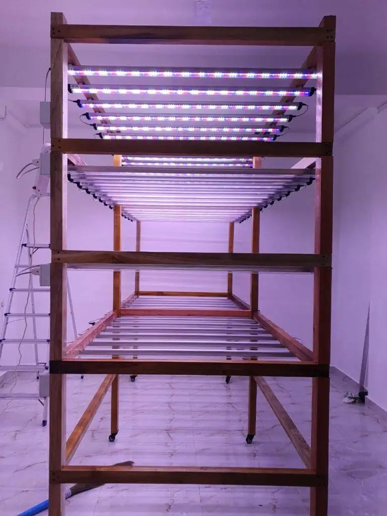 Nexsel Client Portfolio