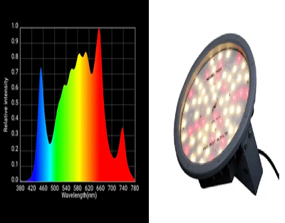 What is the Broad Spectrum?