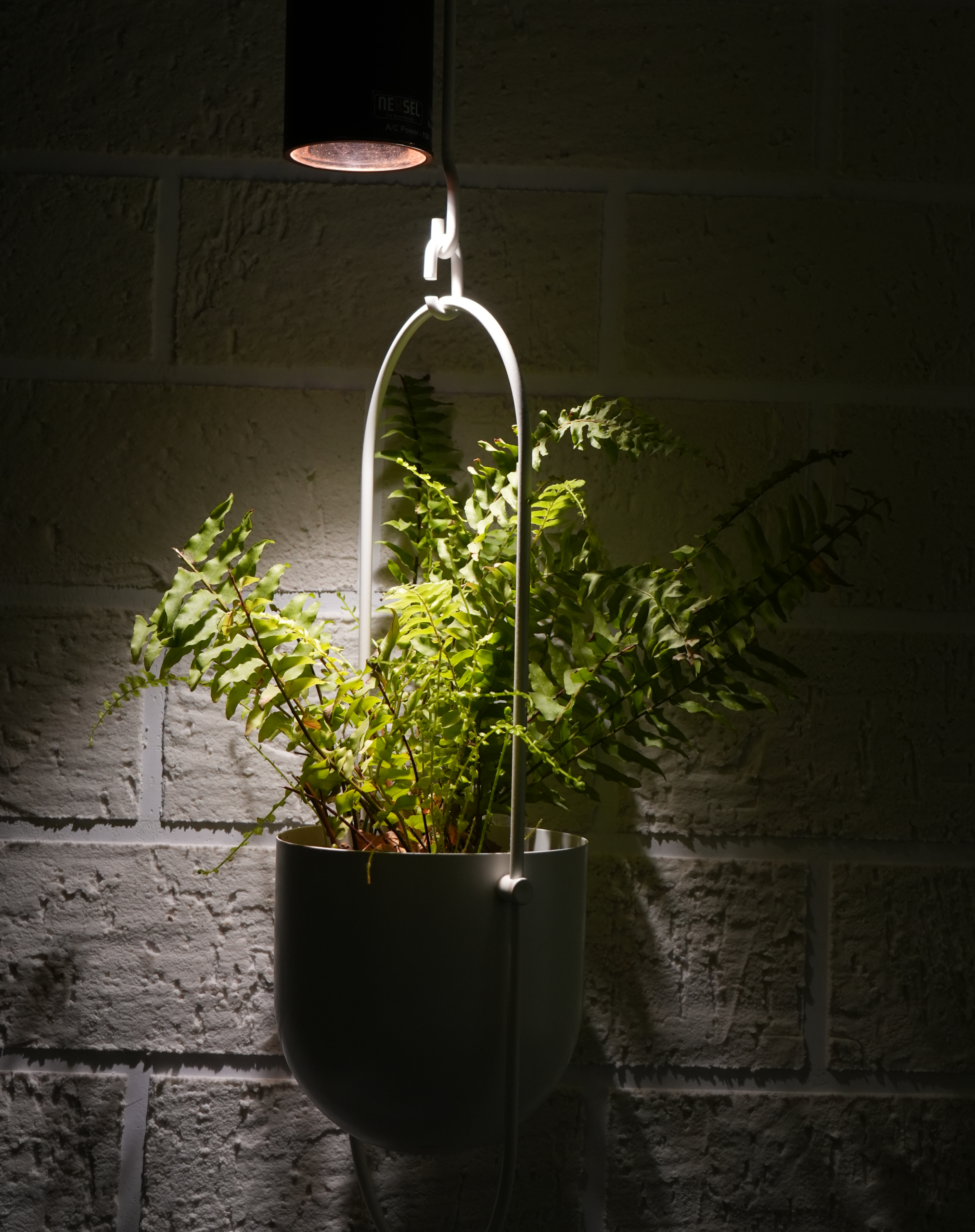 LED Grow Lights for Indoor Plants