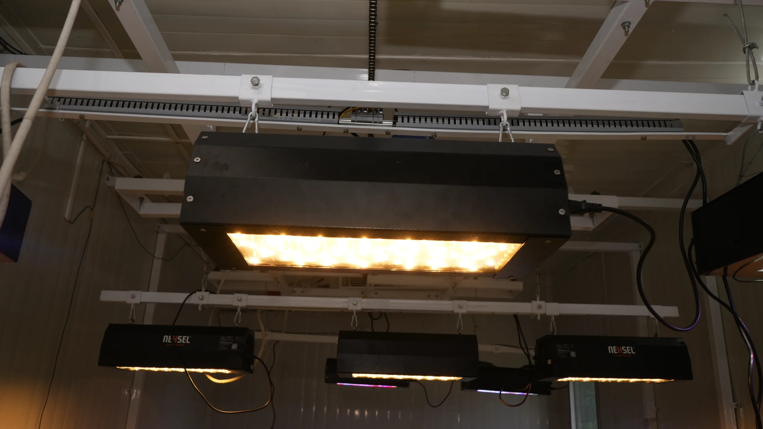 LED Grow Lights for Rice Cultivation: Accelerating Breeding for Climate Adaptability