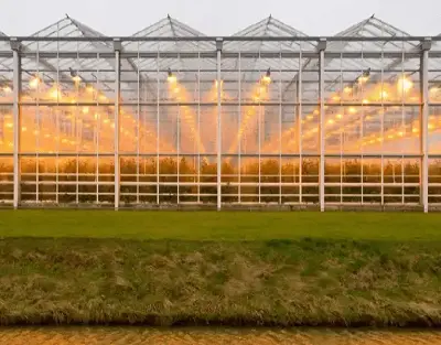 Does Greenhouse Require Grow Light ?