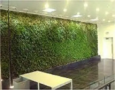 Green Wall Lighting