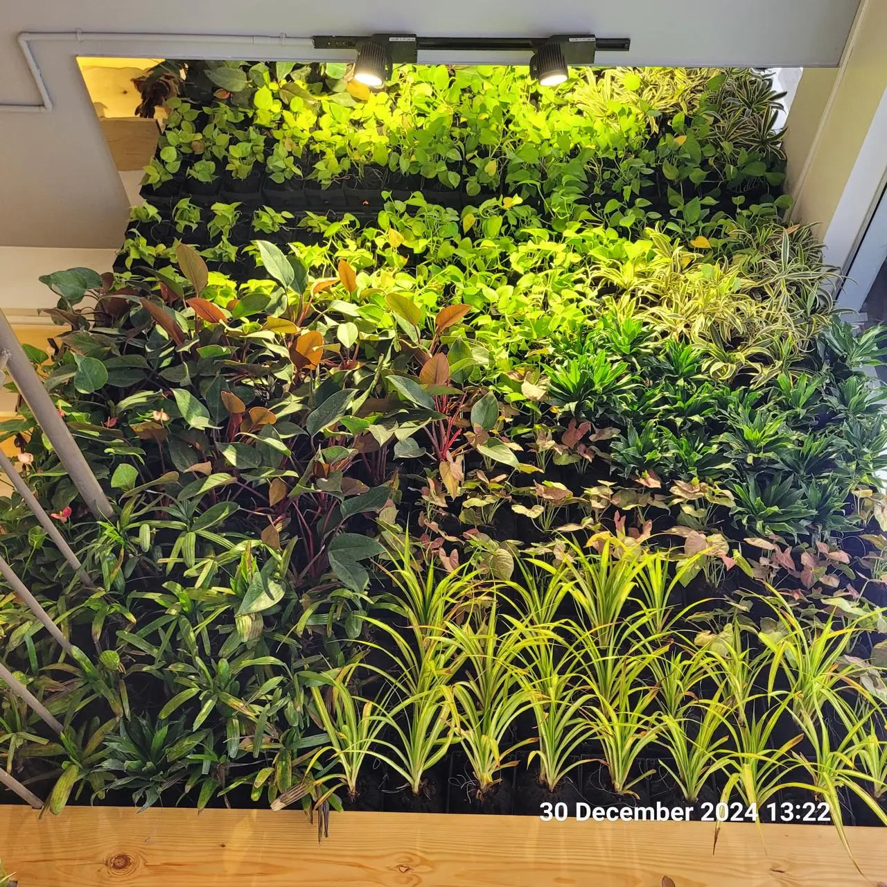The Truth About Grow Lights for Indoor Landscaping
