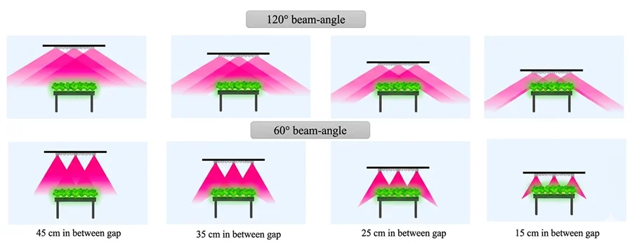 How Grow Light Beam Angle and Mounting Height Affect Plant Growth