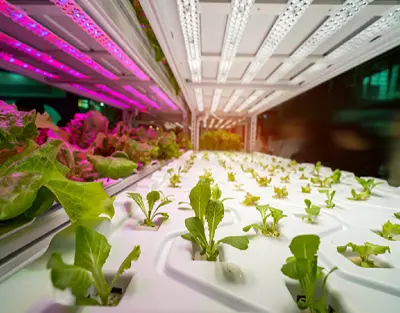 How To Calculate Electricity Consumption At My Farm ?