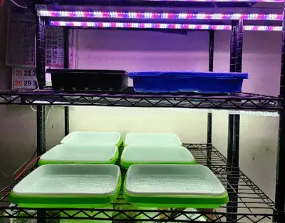 How to compare grow lights?