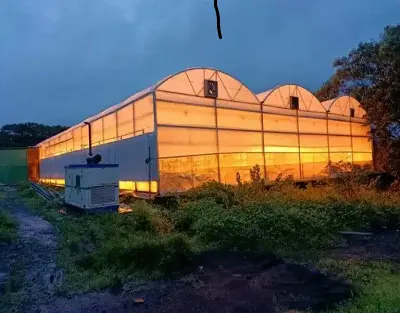 Important parameters of speed breeding