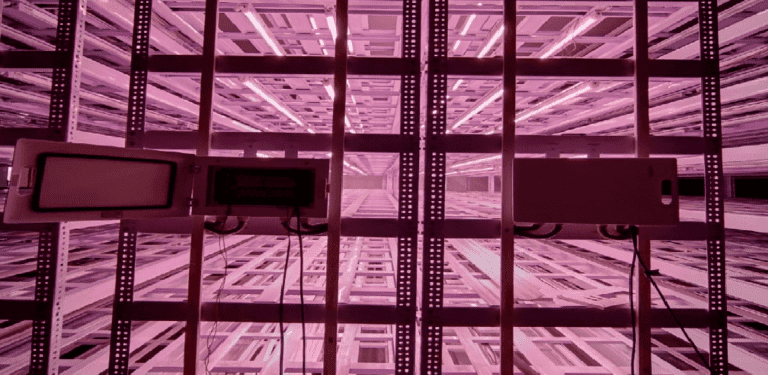 india tissue cultural grow light 2