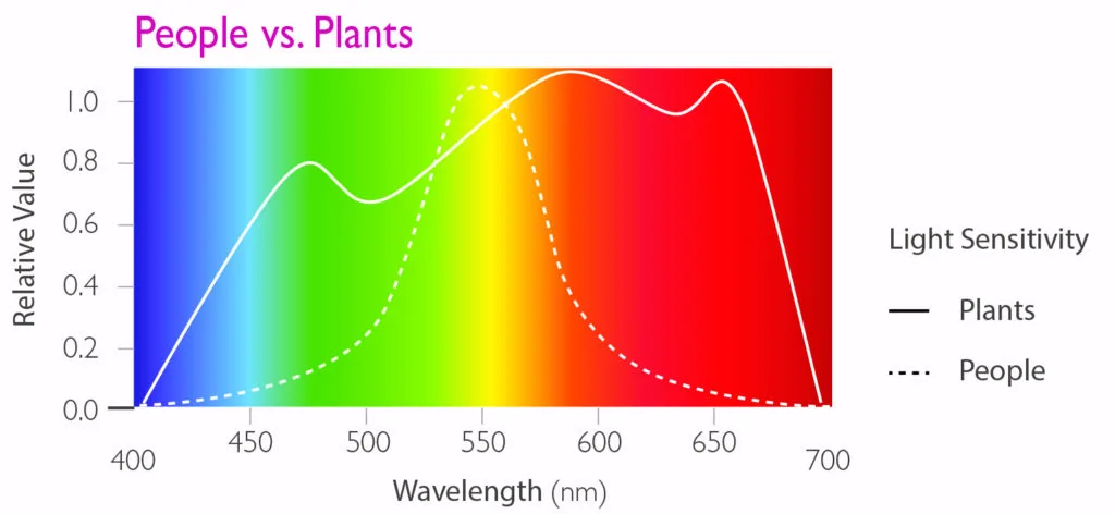 Plant Lighting vs. People Lighting: What’s the Difference?
