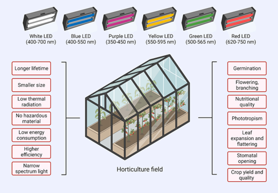 How to Install Lights on a Green Wall