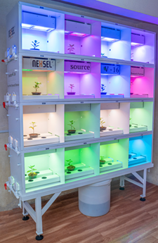 india Light Recipes2