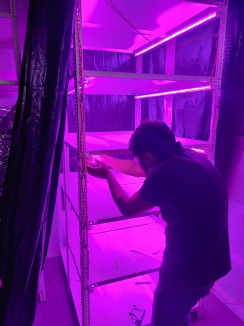 india Light Recipes 3