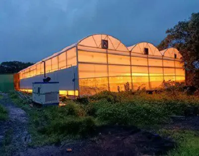 Significance of Supplemental Lighting