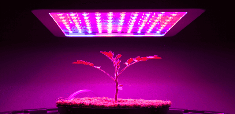 DLI And PPFD Values 2