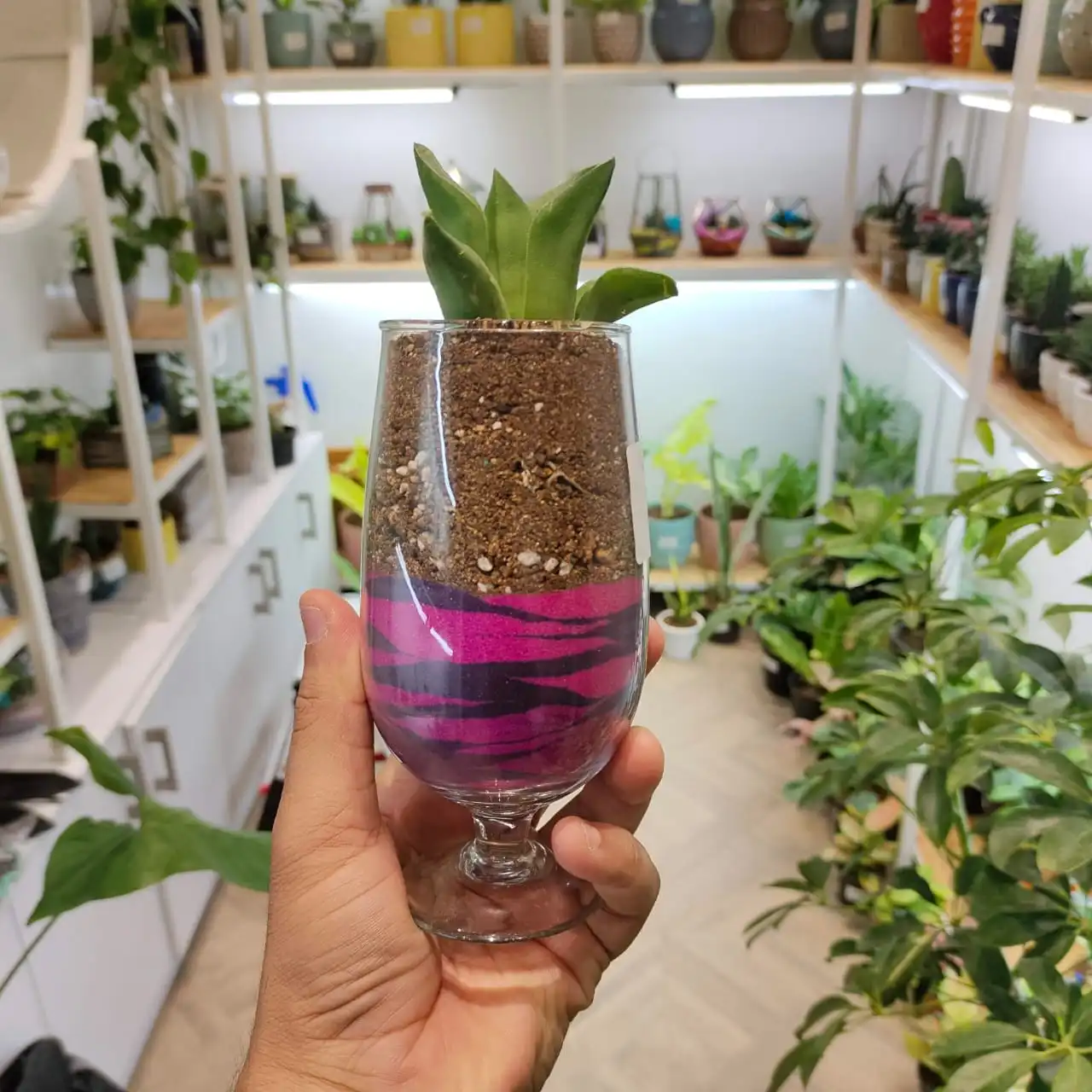 Nursery Grow Lights for Stock Plants