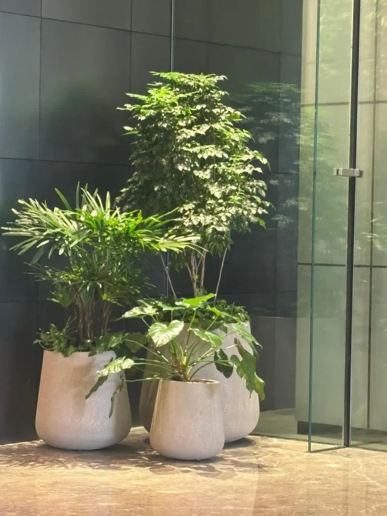 Artificial Light for Interior Plantscapes: A Complete Guide