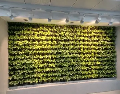 Artificial Lighting for Green Wall