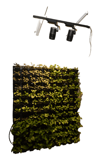 india Green Wall Lighting 2