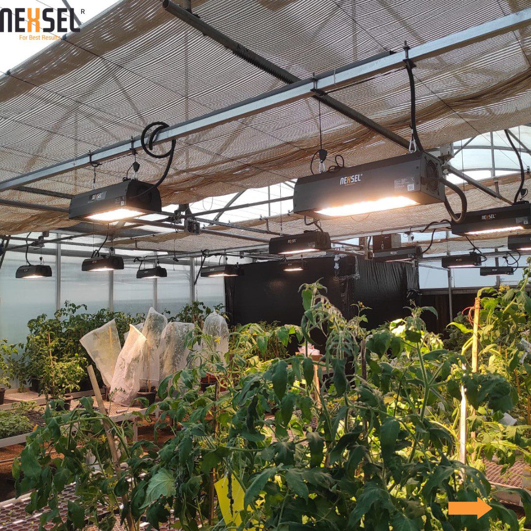 supplemental lighting 2