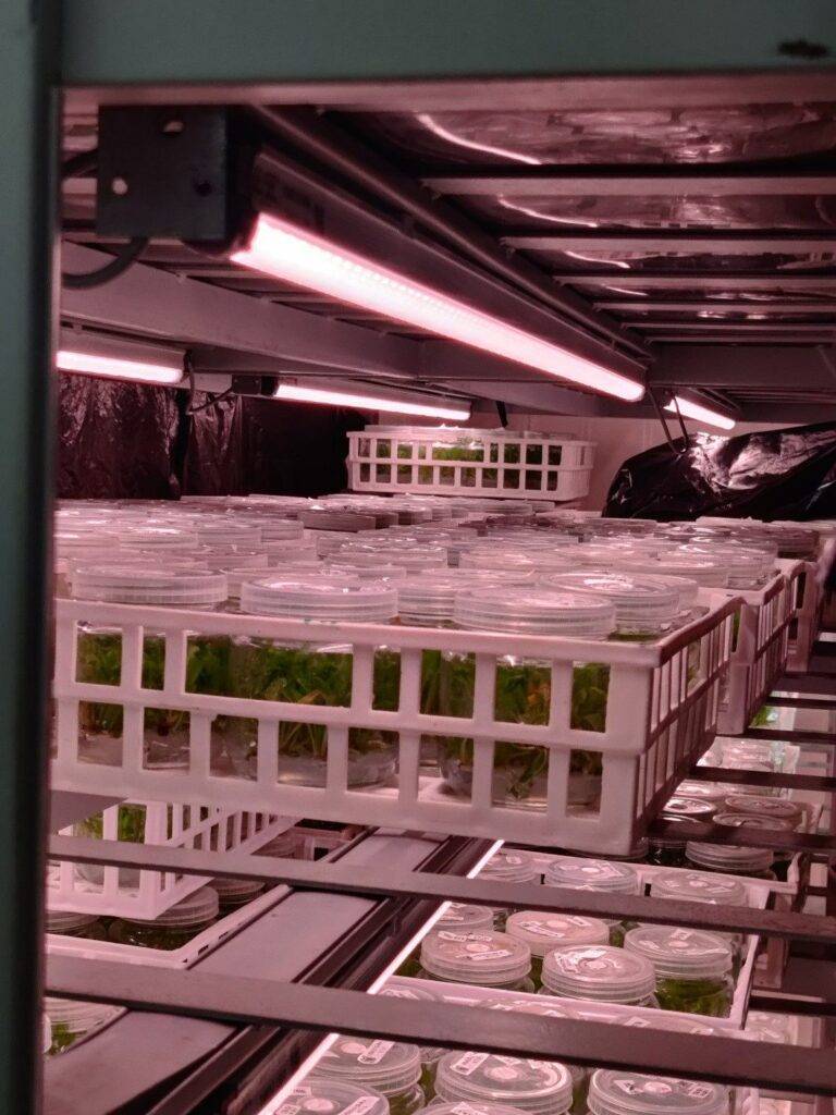 india Benefits Of Switching From CFL To LED Lights 2