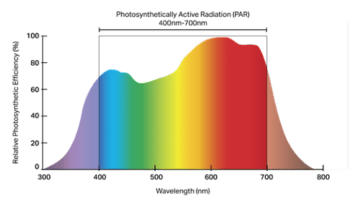 india Greenhouse Light PAR Lamps 2