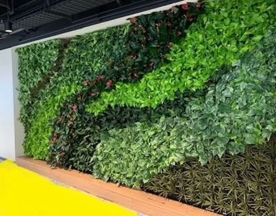 Lighting Tips for Indoor Green Walls