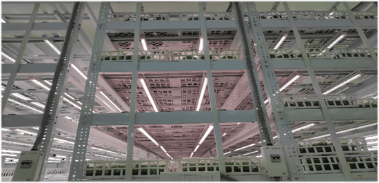 india tissue culture lighting cost